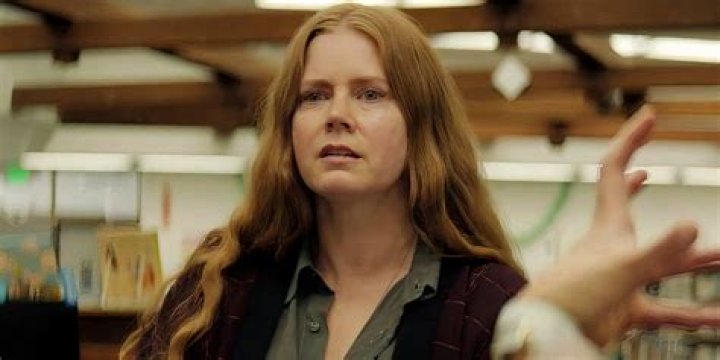 A Glimpse Into The Life Of Amy Adams' Husband: A Love Story Beyond The Spotlight