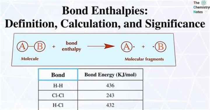 Bellingham Relationship: Understanding The Bonds Of Connection