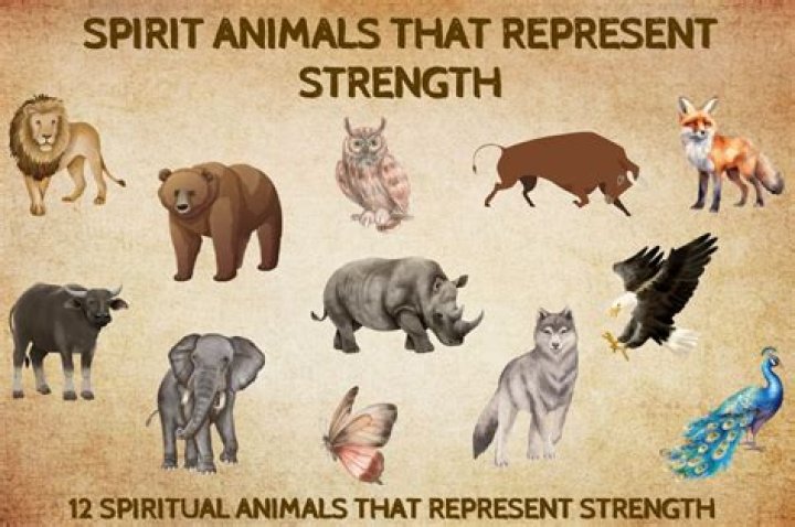 Discovering The Animal That Represents Life