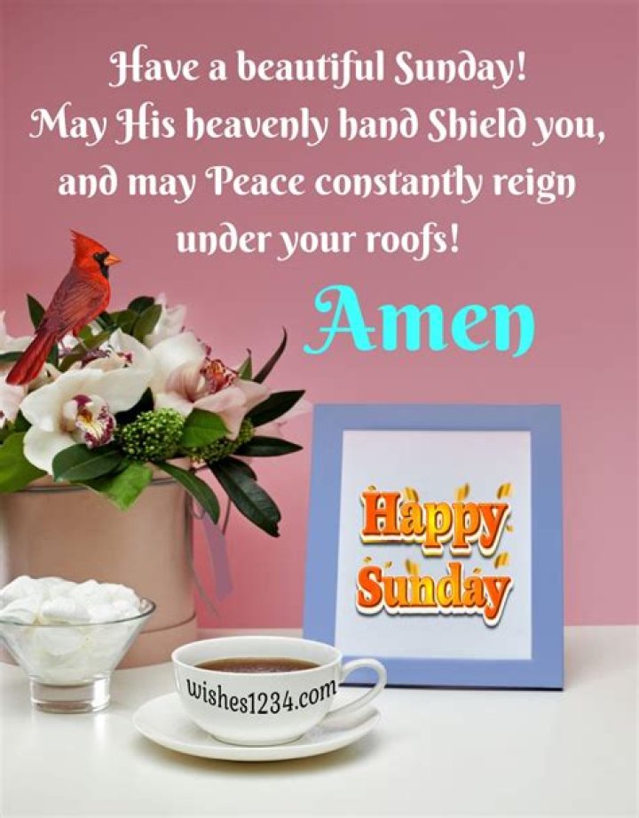 Embracing Joy: Wonderful Sunday Quotes To Brighten Your Day