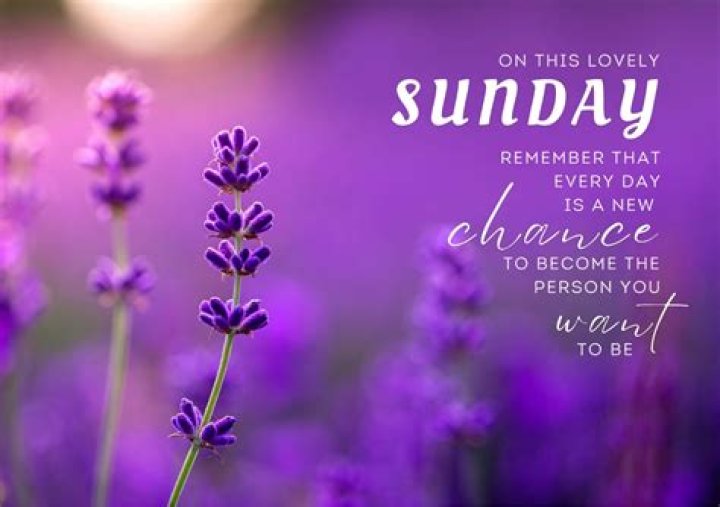 Embracing Serenity: Beautiful Sunday Quotes To Inspire Your Week