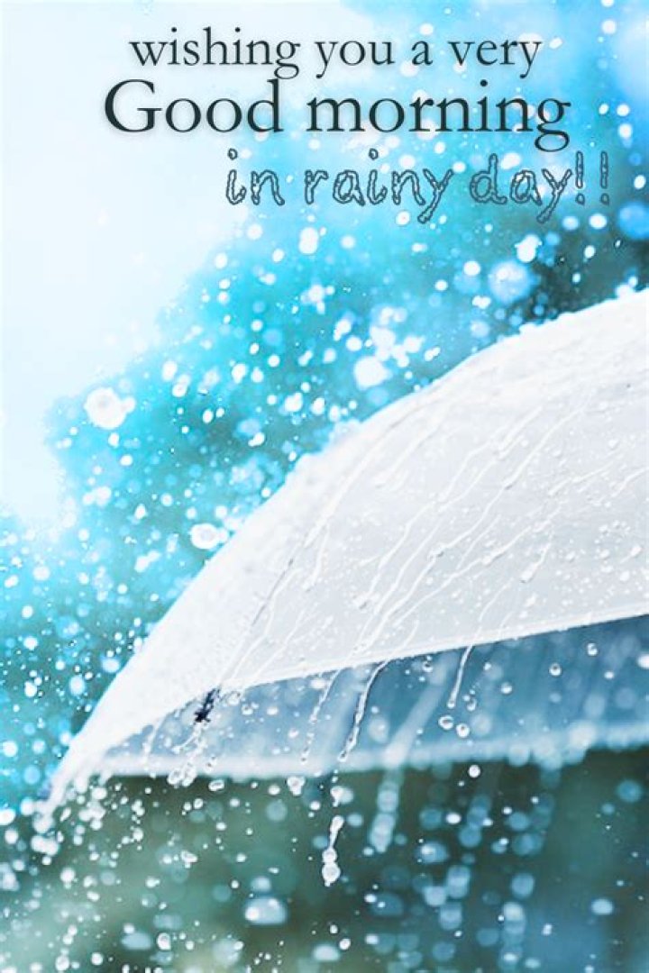 Embracing The Serenity Of A Rainy Day Good Morning