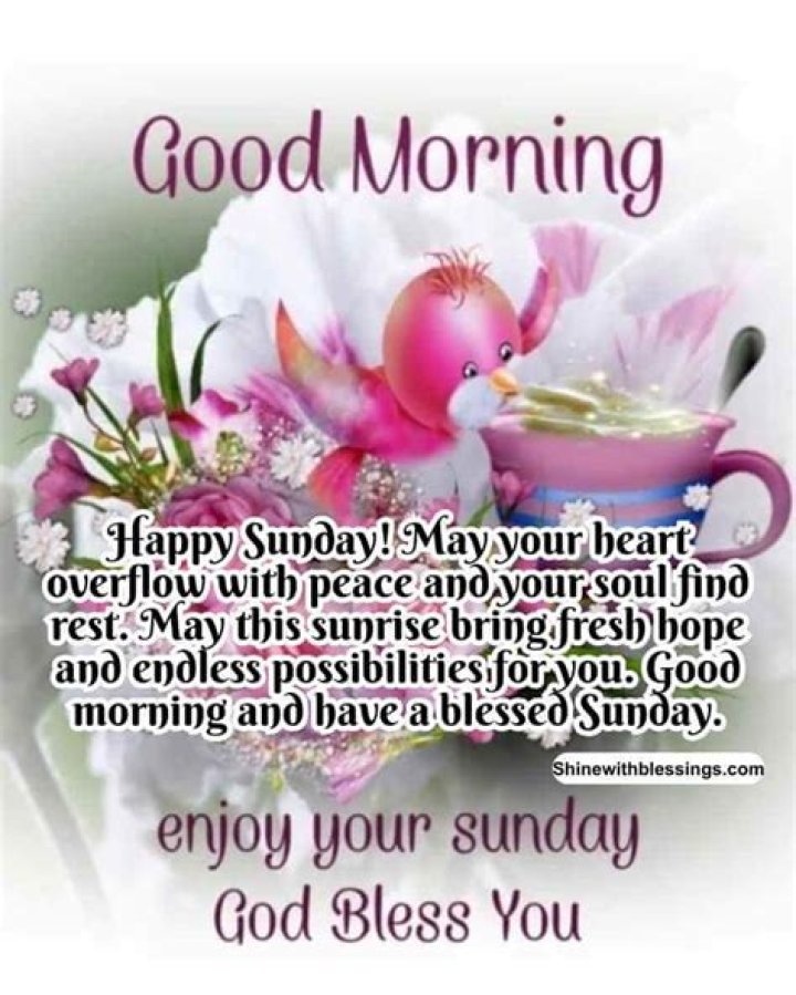 Embracing The Warmth Of Beautiful Sunday Greetings