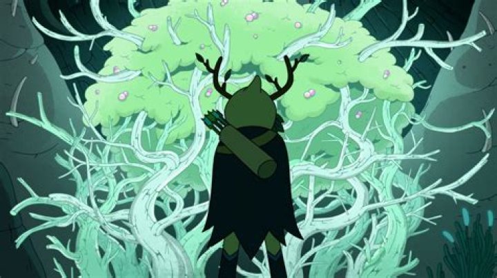 Exciting New Season: Fionna And Cake Adventure On