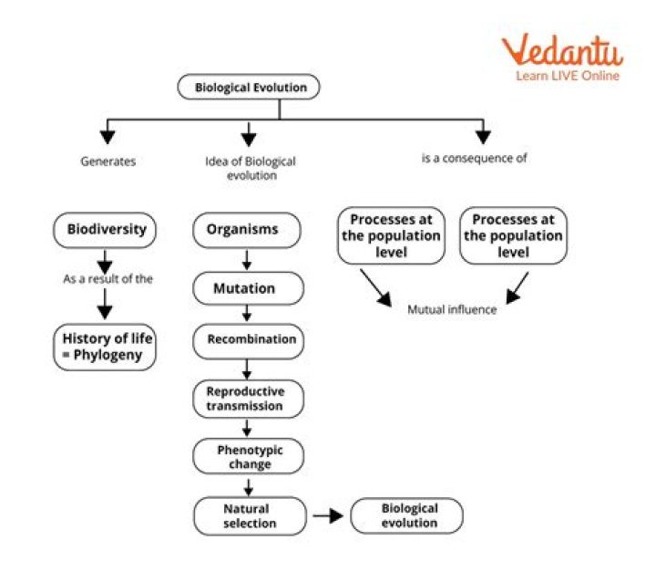Exploring The Intricacies Of The Mellstroy Family: A Wikipedia Overview