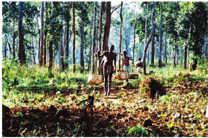 Exploring The Life Of Shikar Pahariya: A Comprehensive Wiki