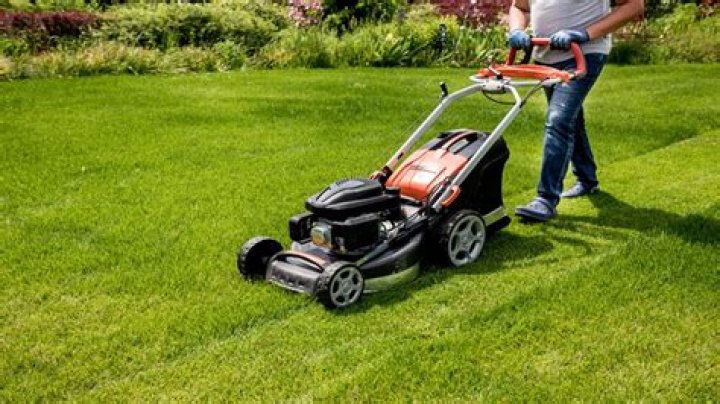 Finding The Ideal Lawn Mower For Hills: A Comprehensive Guide