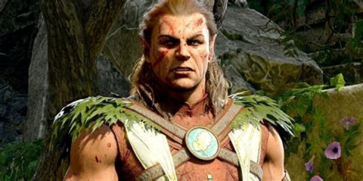 Understanding The Mystery Of BG3 Halsin's Reluctance To Join
