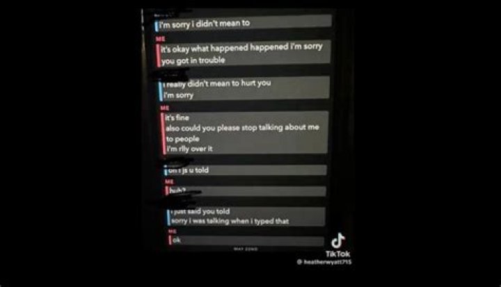 Unlocking The Dark Truth: Aubreigh Wyatt's Cruel Cyberbullying