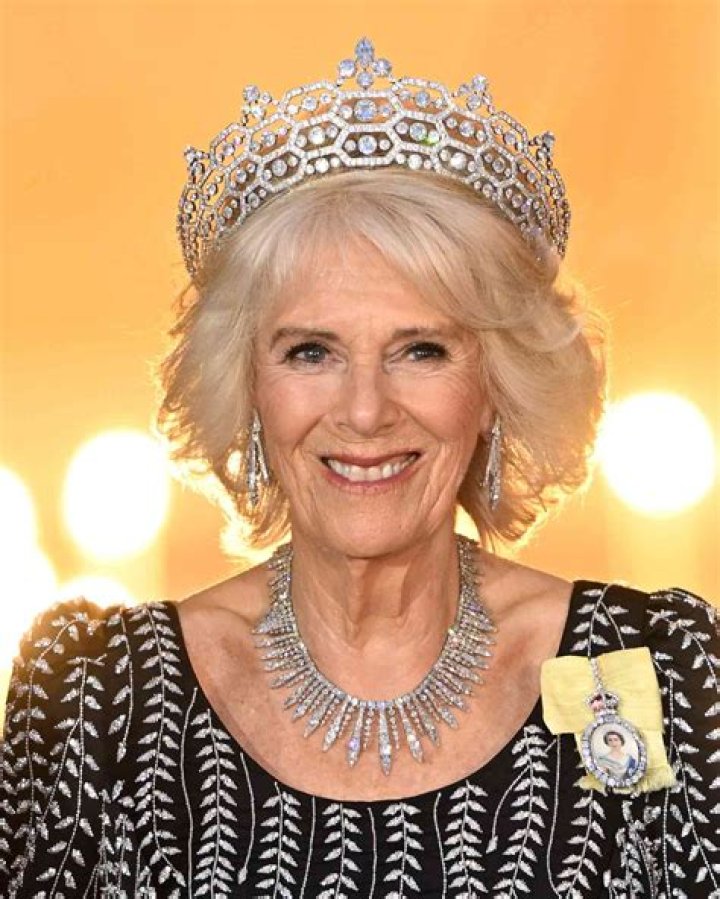 Unraveling The Mystery Behind Real Camilla Leaked