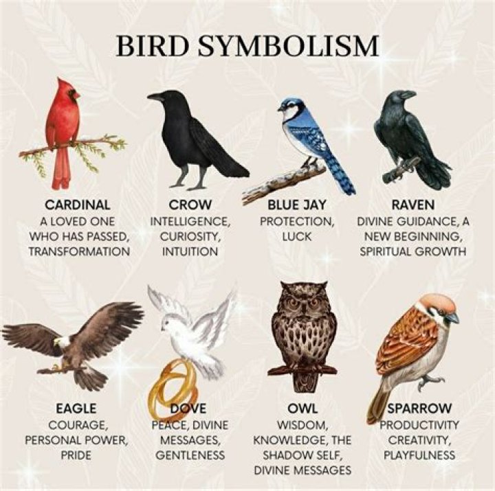 Unveiling The Significance Of Birds In Our Ecosystem
