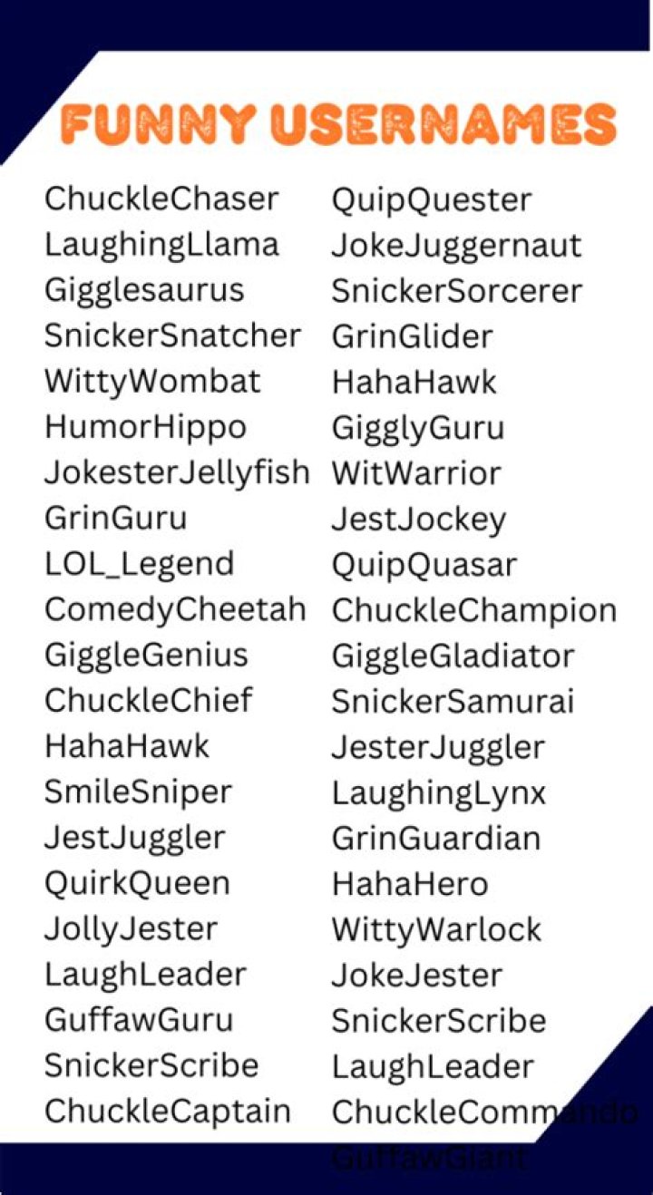 Witty Wonders: Discovering The Best Funny Usernames